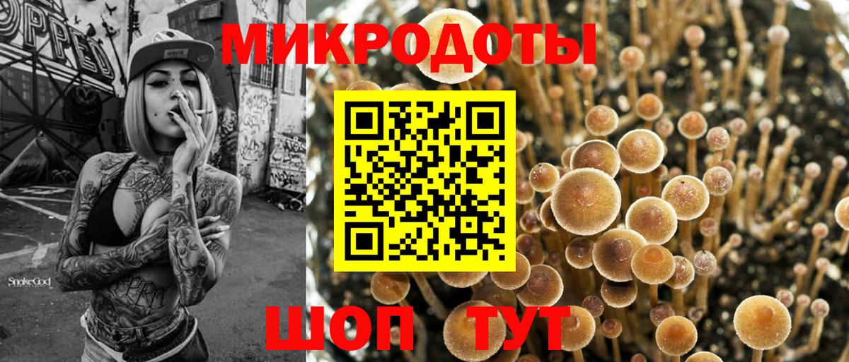 Псилоцибиновые грибы мицелий Кызыл