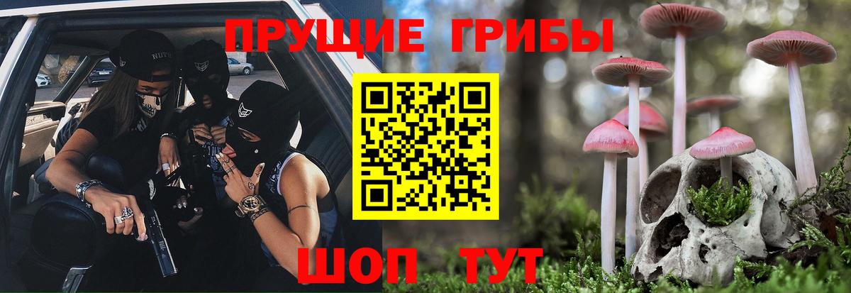 Кызыл  Галлюциногенные грибы Psilocybine cubensis  Вход с VPN 