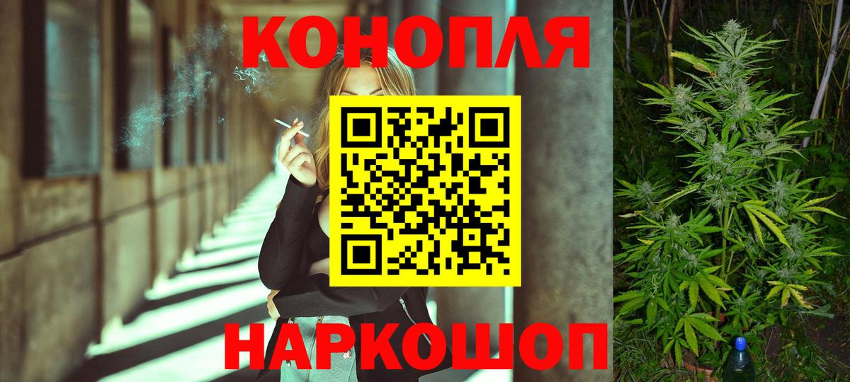 Бошки Шишки семена  Вход с VPN  Канабис SATIVA & INDICA  Кызыл 